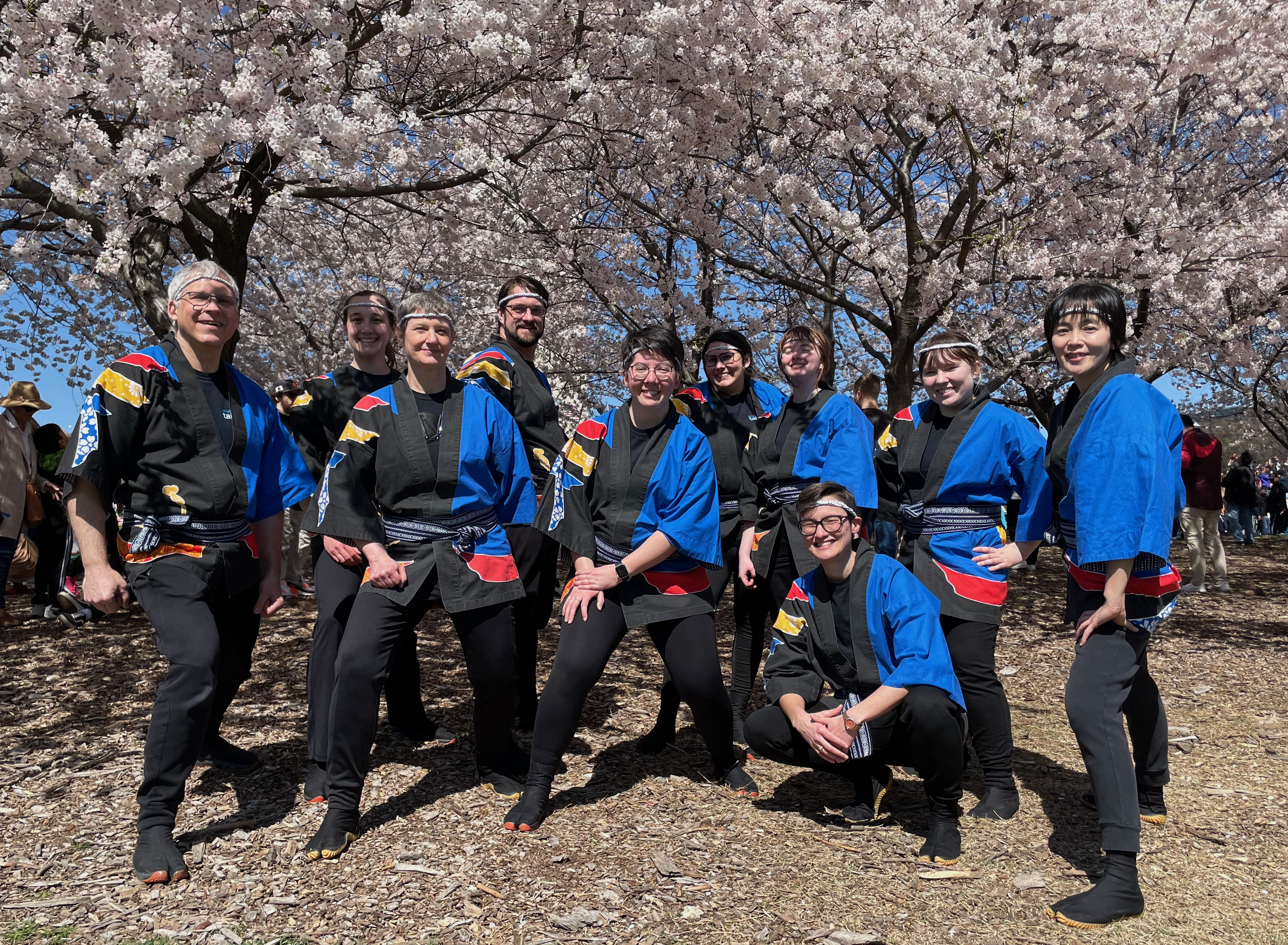 Group photo of Pittsburgh Taiko in blue happi costume posing in front of blooming cherry trees